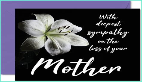 Akron, Ohio Mourns the Loss of Jennifer Salem, a Valiant Fighter and Beloved Local